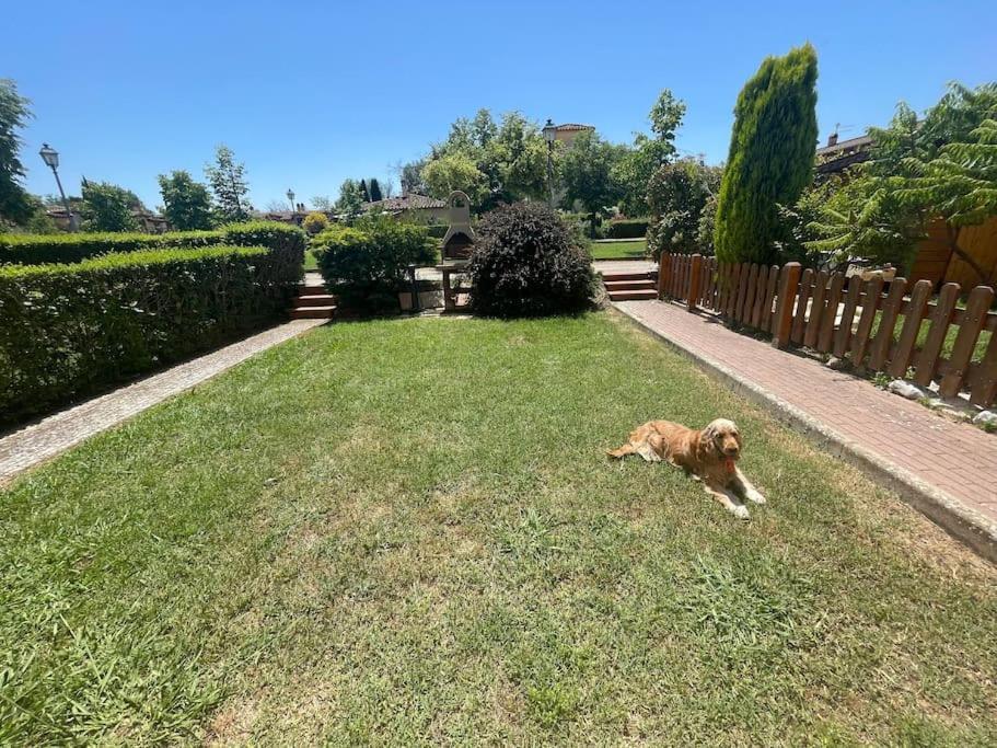Casa Vacanza Villaggio Poggio Rosso Arezzo Luaran gambar